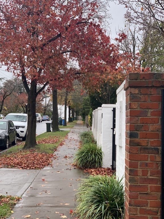 Our street in Autumn