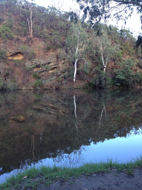 Yarra River close by at Studley Park