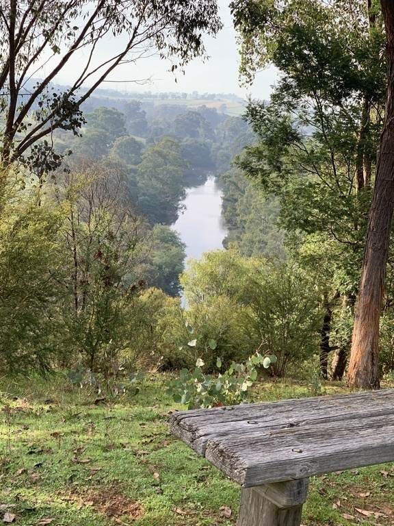 Bush walking on the Yarra River further east of our house