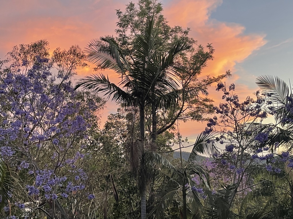 View to south from front veranda