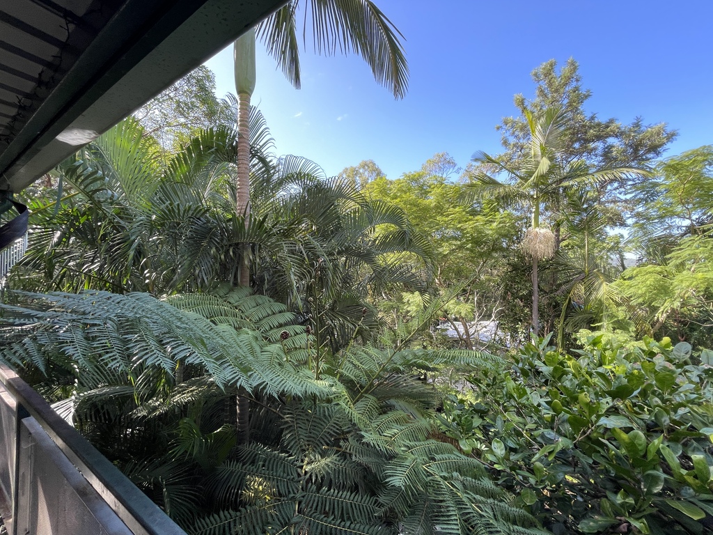 View to east from front veranda