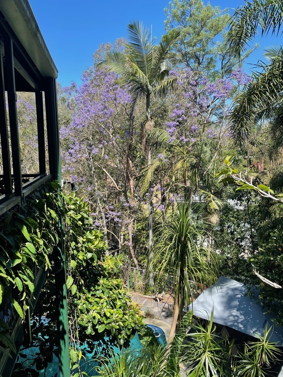 View to east from front veranda