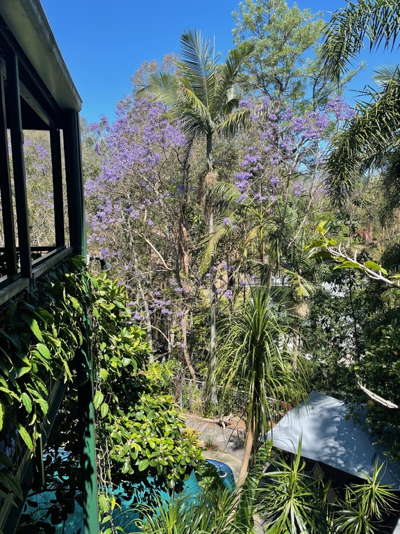 View to east from front veranda