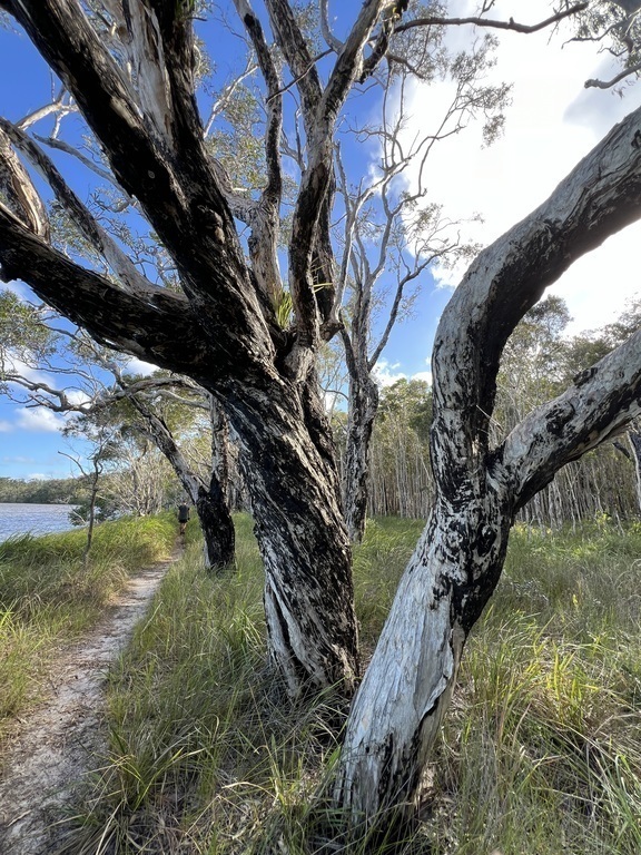 Lake Weyba - short distance from home
