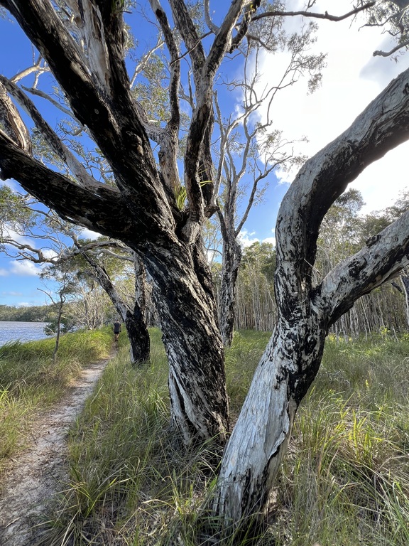 Lake Weyba - short distance from home