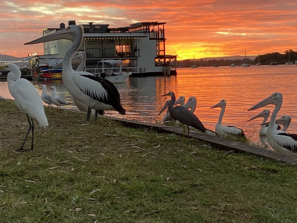 Sunset along Noosa River
