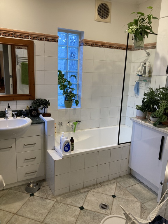 Bathroom (with laundry out of shot)