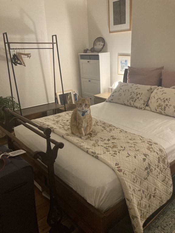 Main bedroom (with cat)