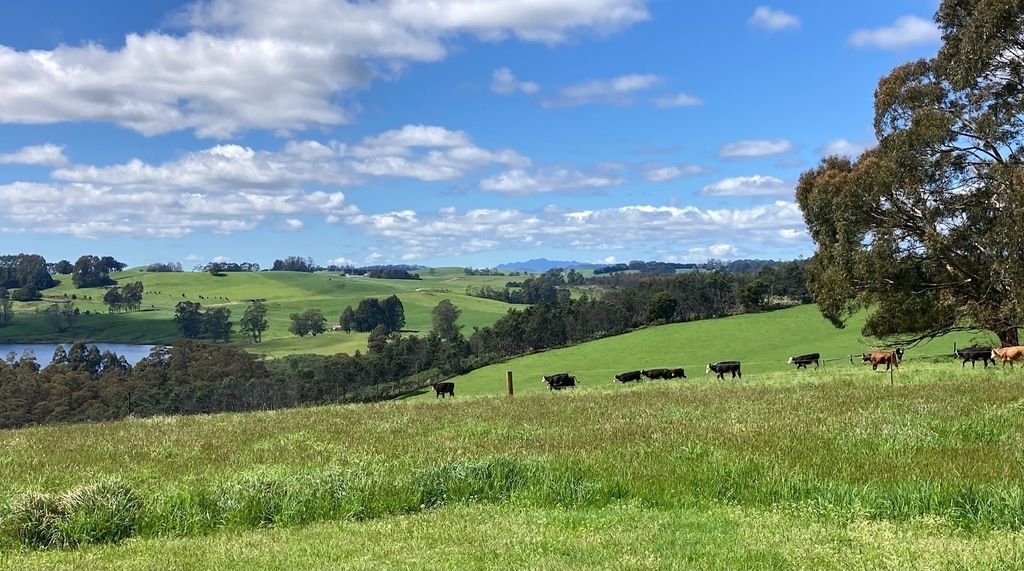 The shed/house is situated in rolling hills. This is the view towards Mount Roland and Sheffield, beautiful Tasmanian country...