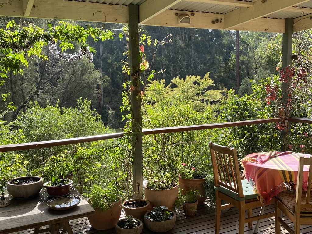 The back verandah and garden