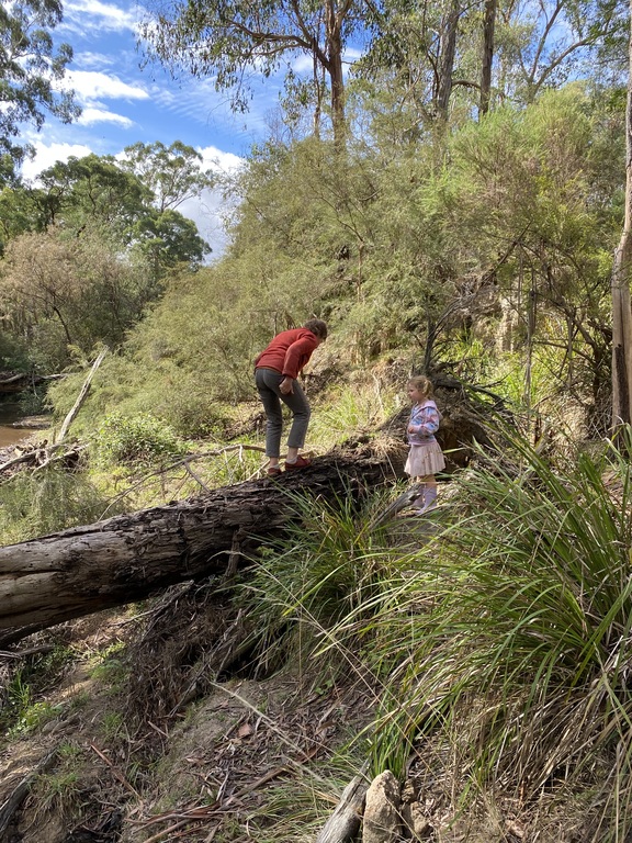 The Diamond Creek at the foot of the property