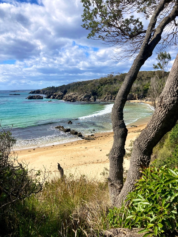 Mystery Bay Coastline in the National Park