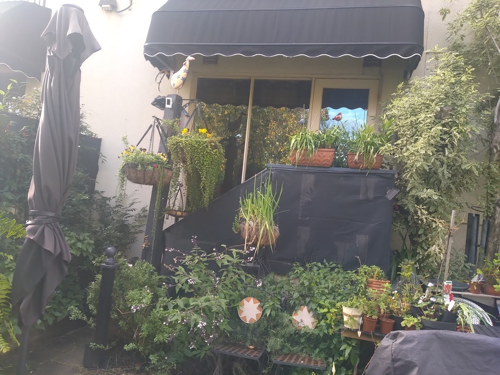 View from front courtyard. 