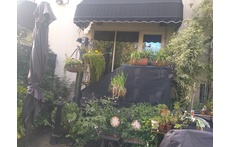 View from front courtyard. 
