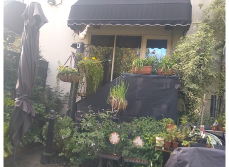 View from front courtyard.
