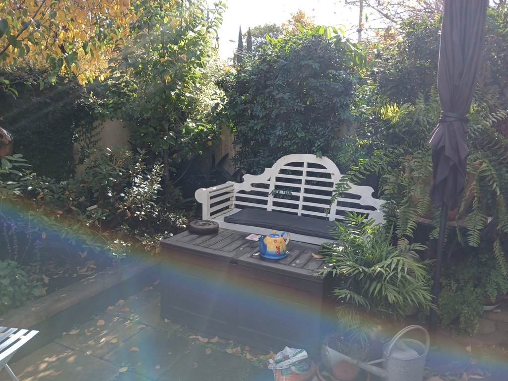 Courtyard  outdoor seating area.