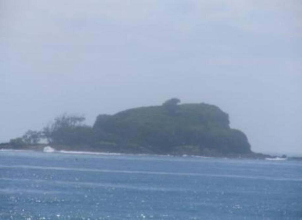 Mudjimba Island - 400 metres off the Beach