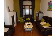 living area with fire