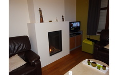 living area with fire
