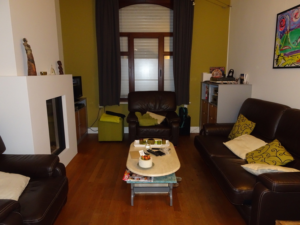 living area with fire