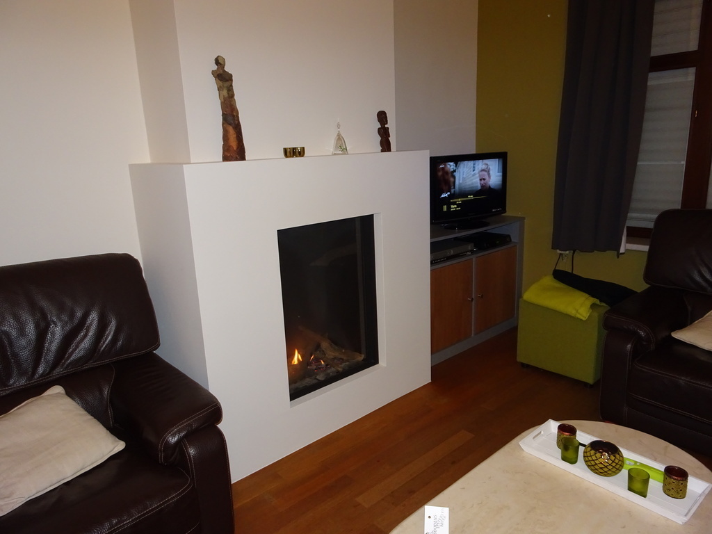 living area with fire