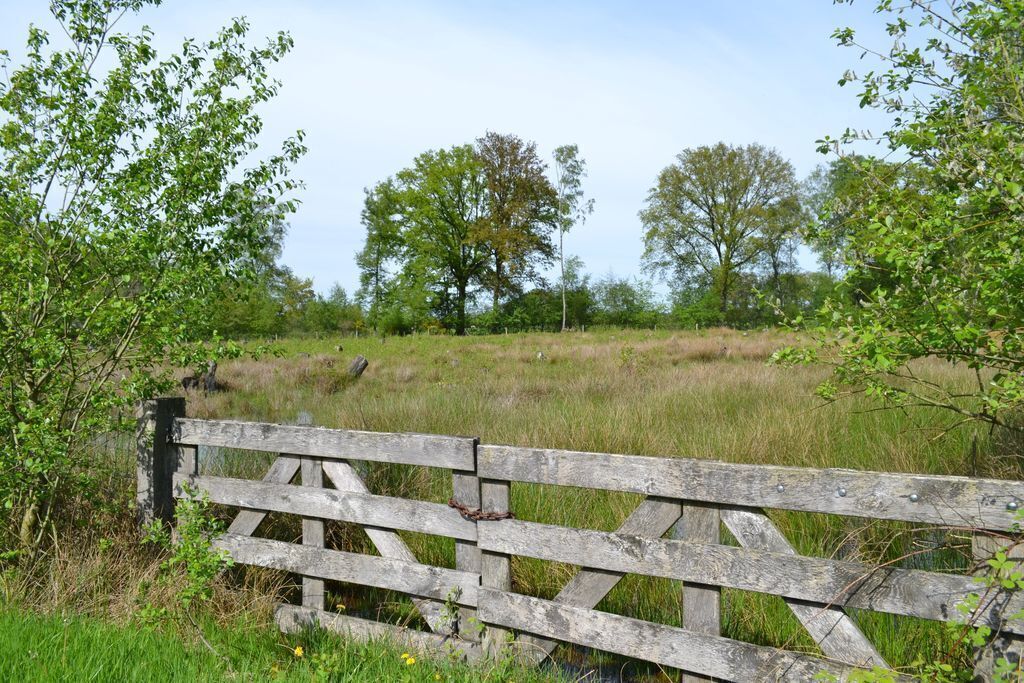 Turnhouts vennengebied