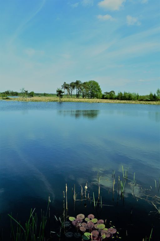 Turnhouts vennengebied