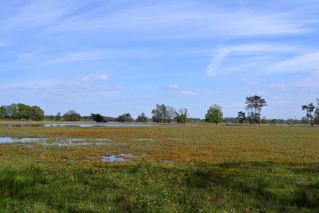 Turnhouts vennengebied