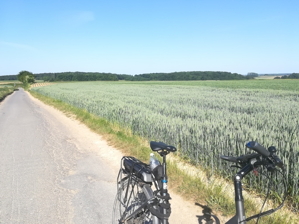 1st Home (Brussels) : : cycling path