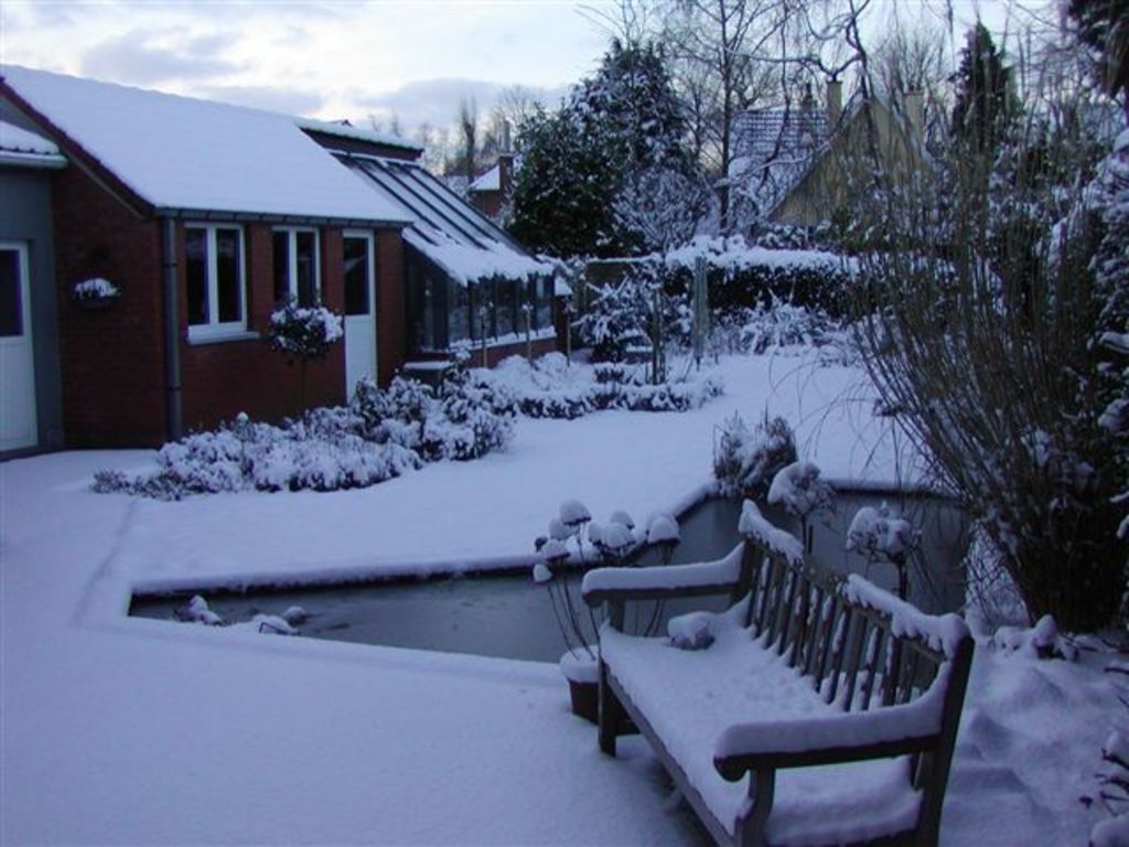 garden in winter