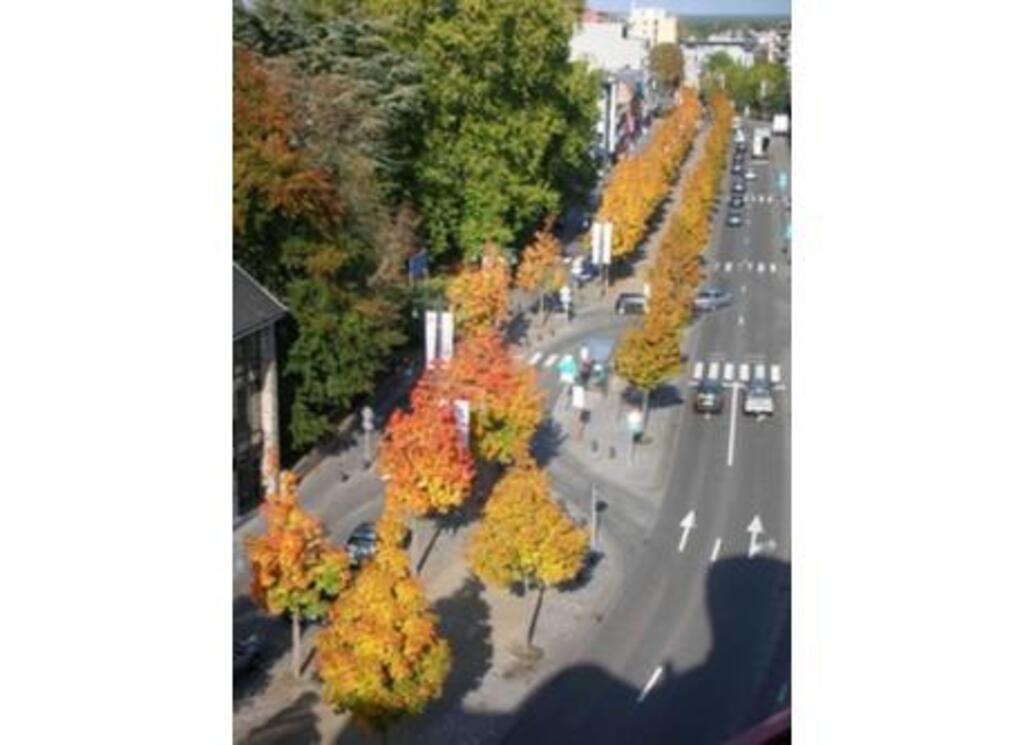 inner ring of Hasselt