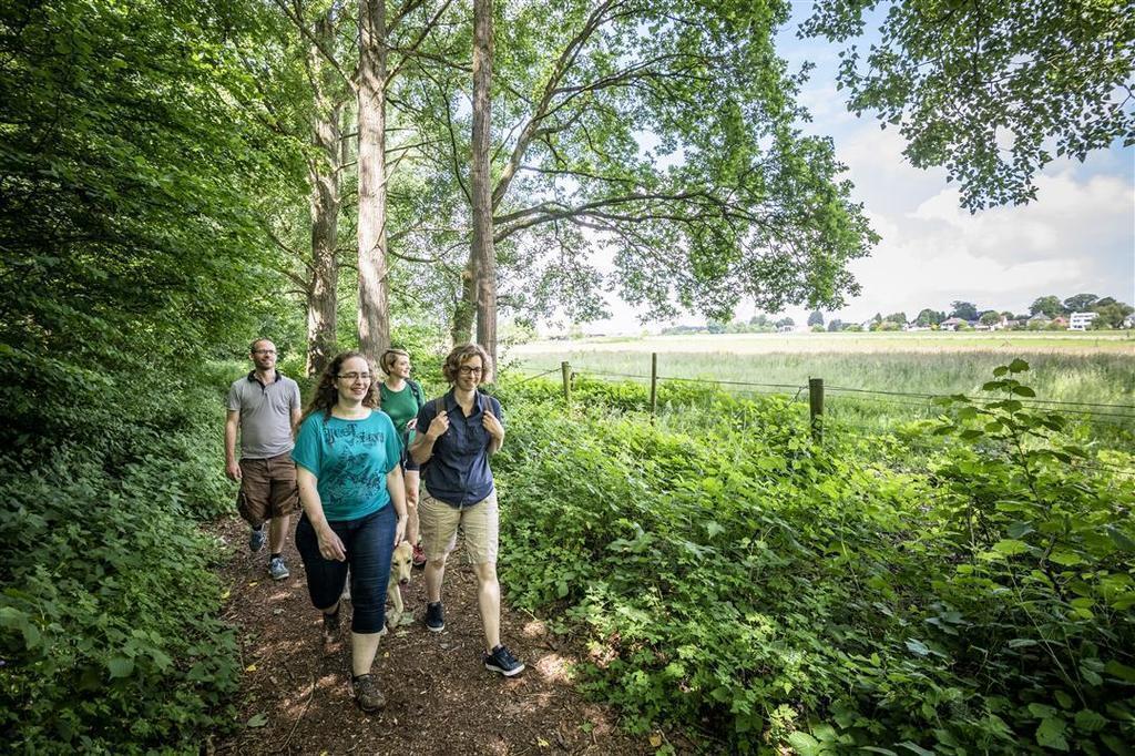 Nature in Wemmel 'Beverbos'