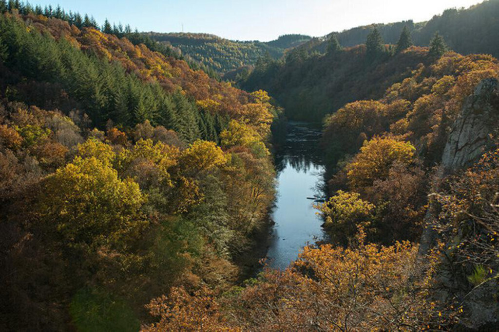 Nature in south Belgium 'Ardennen' 60min
