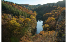 Nature in south Belgium 'Ardennen' 60min