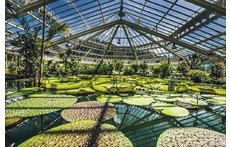Botanic garden 'Meise' (near Wemmel)