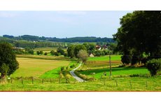 Pajottenland 20min