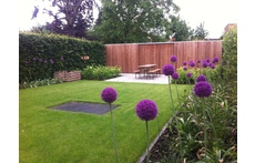 Garden in spring