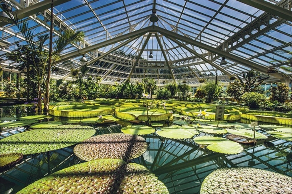 Botanic garden 'Meise' (near Wemmel)