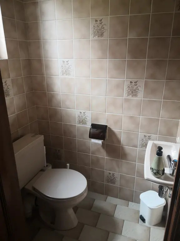 3rd toilet in the entrance hall