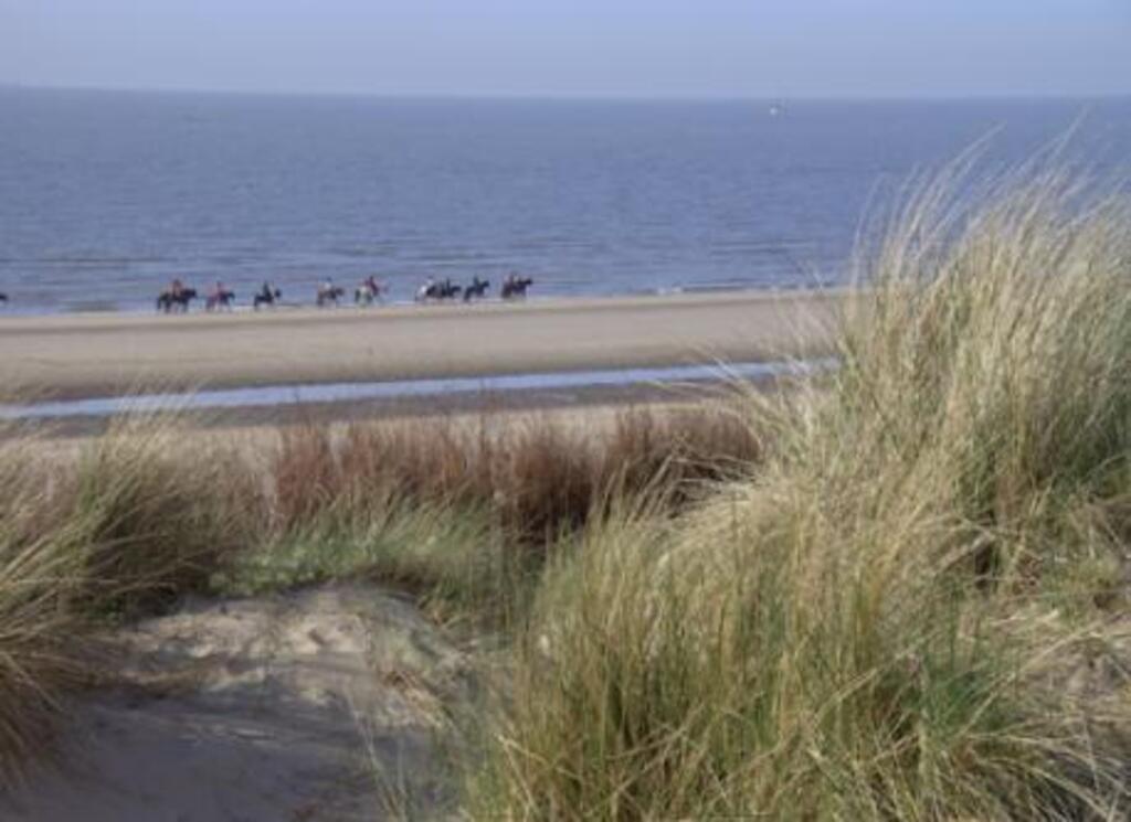 the beach in Wenduine