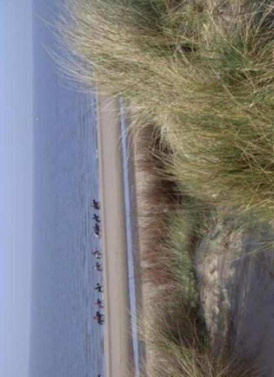 the beach in Wenduine