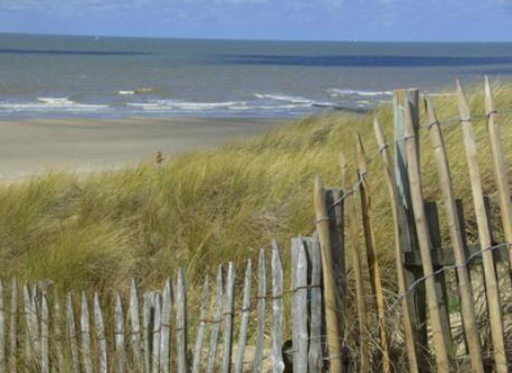 the beach in Wenduine