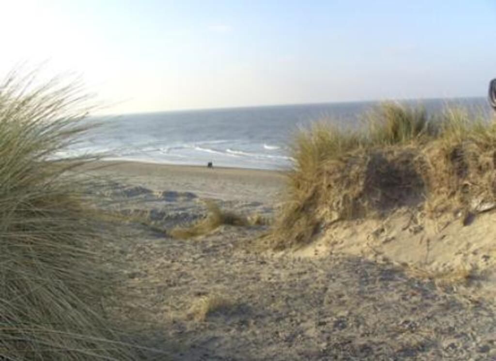 the beach in Wenduine