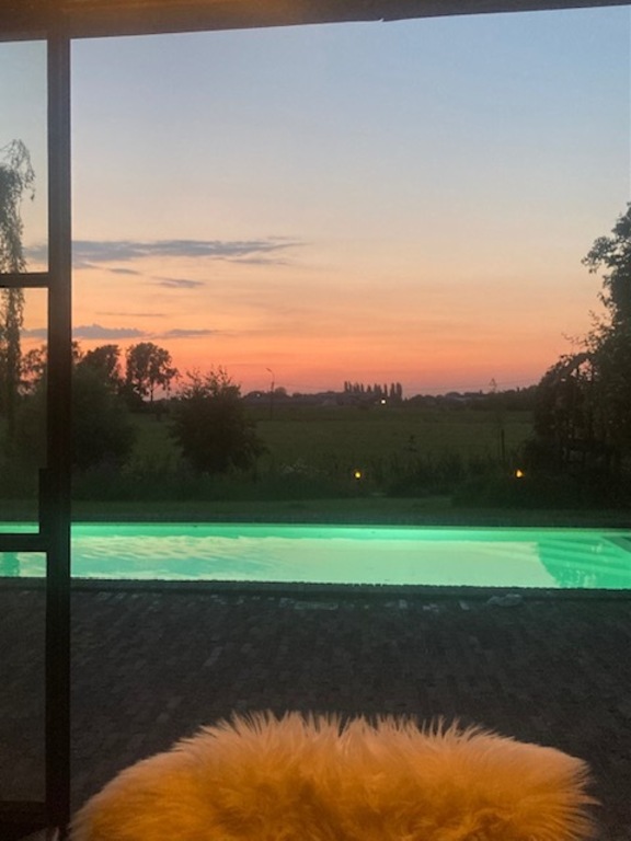 swimmingpool in the evening Sun