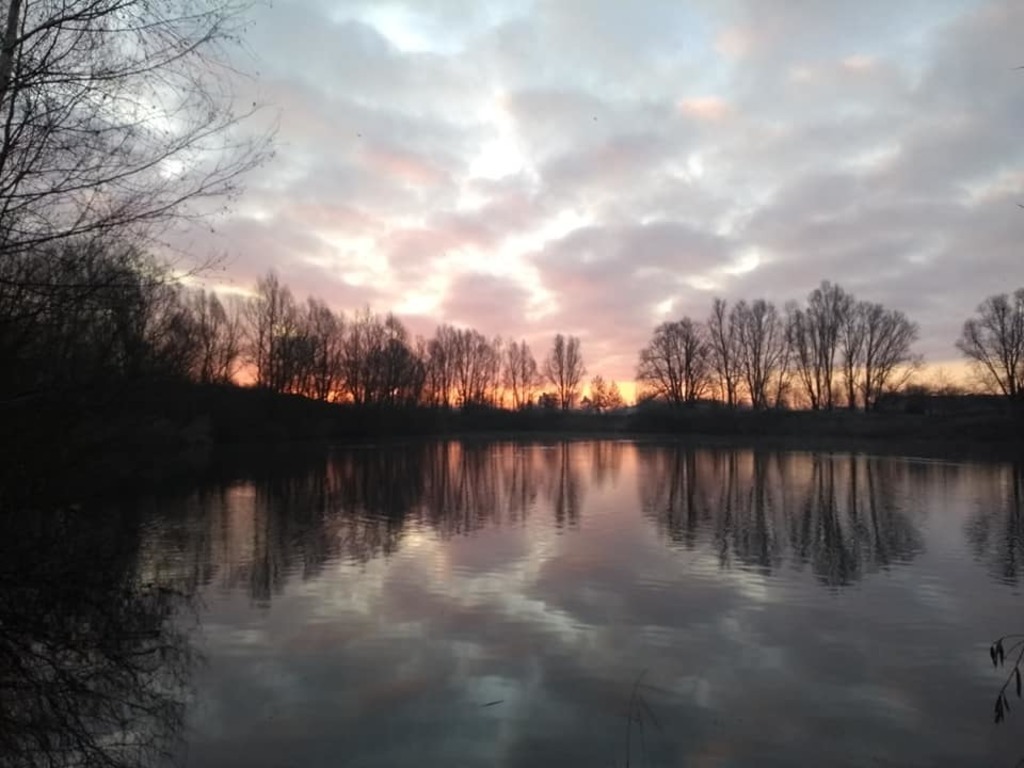 Winter view - Zomergem environment 