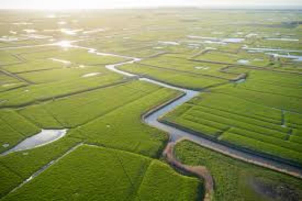"Vlaamse Polders" - the typical landscape in Flanders