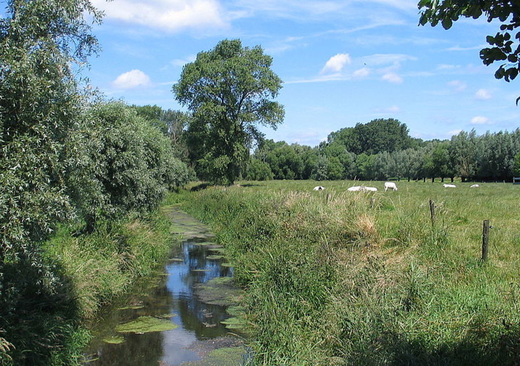 Vinderhoute - Valley of "Oude Kale"