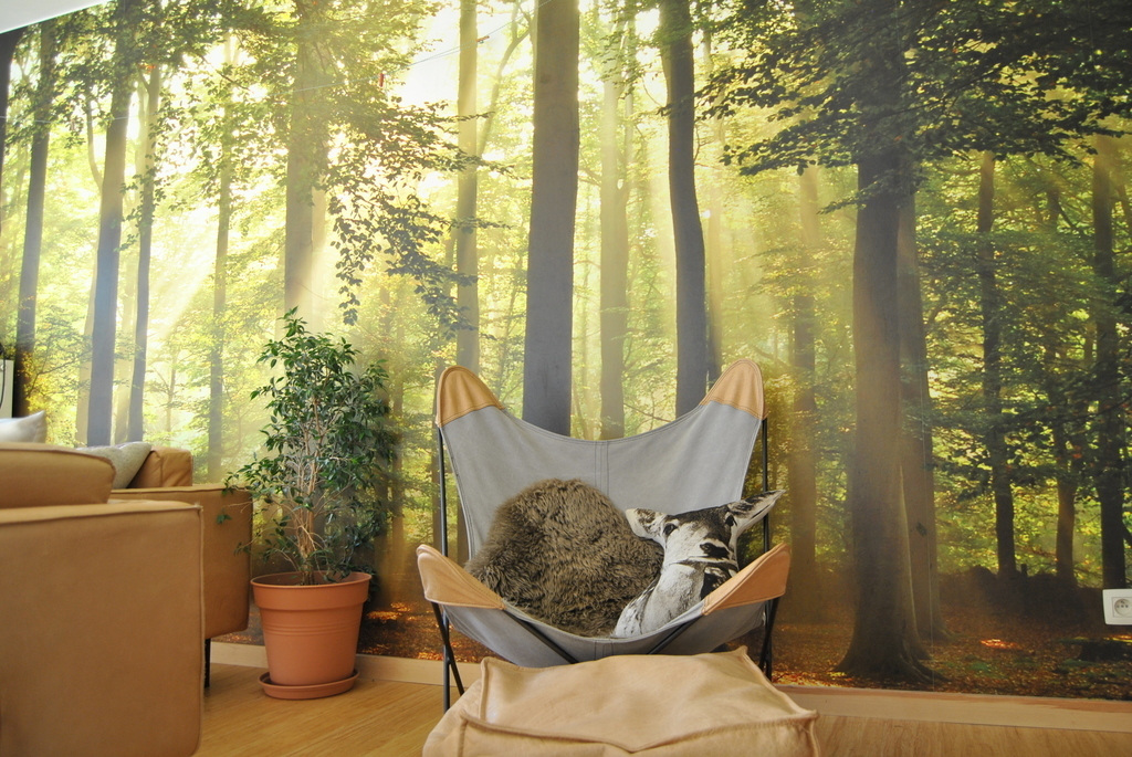 comfy chair for reading or relaxing