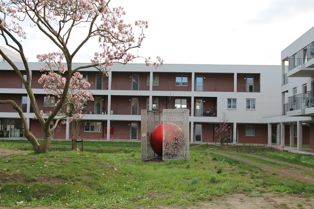 Cohousing Patershof 
