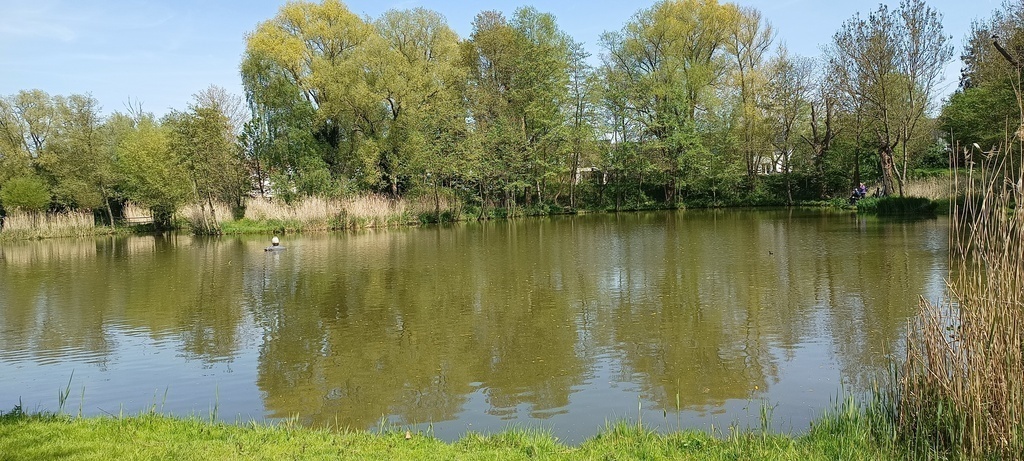 Petit étang et bois à 2 km de notre maison